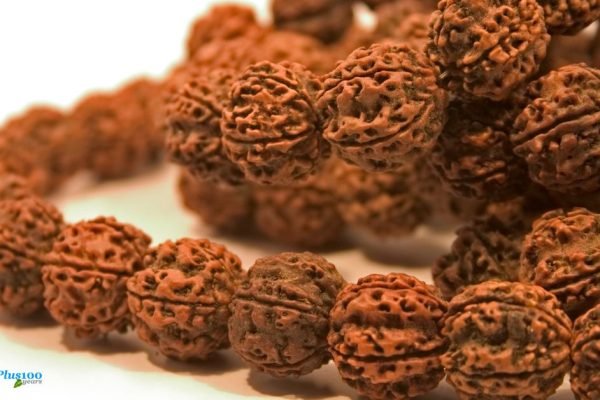 rudraksha for health