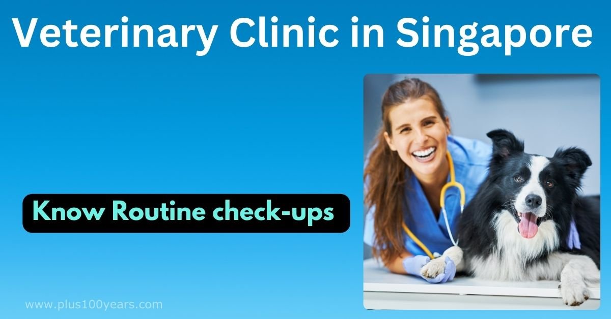 veterinary clinic in Singapore