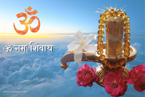 benefits of chanting sri Rudram 